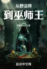 AnyConv.com__From Wild Mage to Wizard King (1)